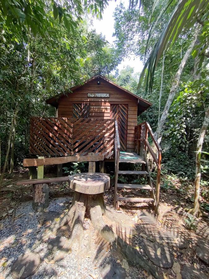 Hotel Refugio Samauma Manaus Esterno foto
